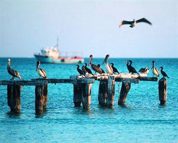 Hotel Wayak Holbox Exterior foto